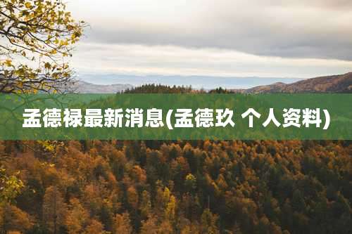 孟德禄最新消息(孟德玖 个人资料)