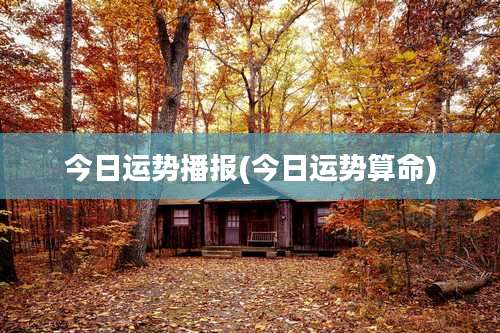 今日运势播报(今日运势算命)