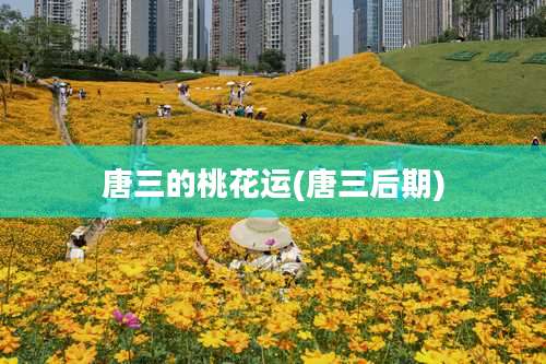 唐三的桃花运(唐三后期)