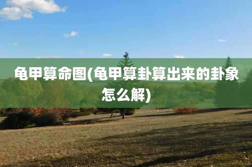 龟甲算命图(龟甲算卦算出来的卦象怎么解)