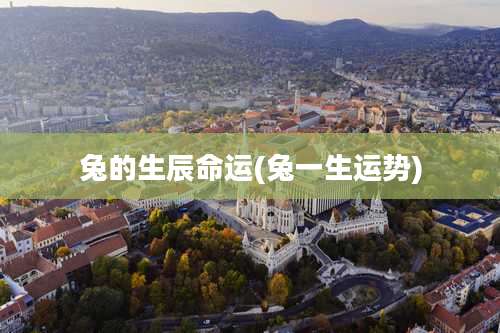 兔的生辰命运(兔一生运势)