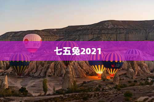 七五兔2021