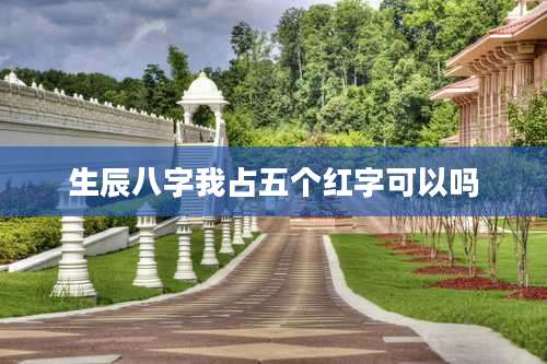 生辰八字我占五个红字可以吗