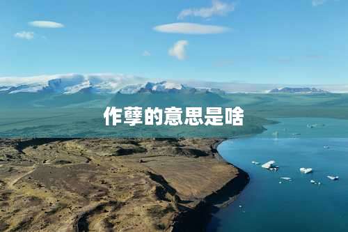 作孽的意思是啥