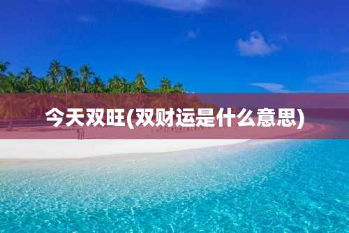 今天双旺(双财运是什么意思)