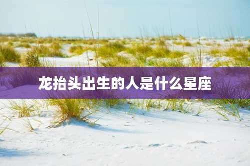 龙抬头出生的人是什么星座