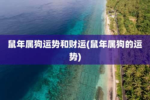 鼠年属狗运势和财运(鼠年属狗的运势)
