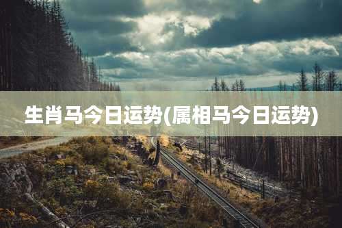 生肖马今日运势(属相马今日运势)