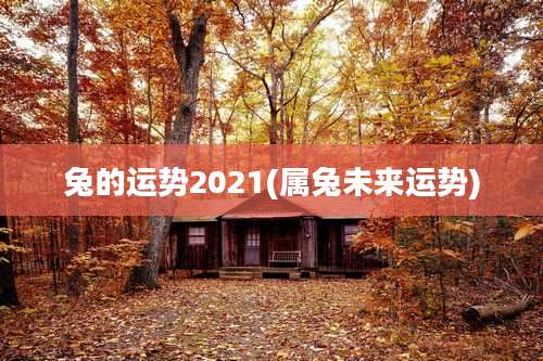 兔的运势2021(属兔未来运势)