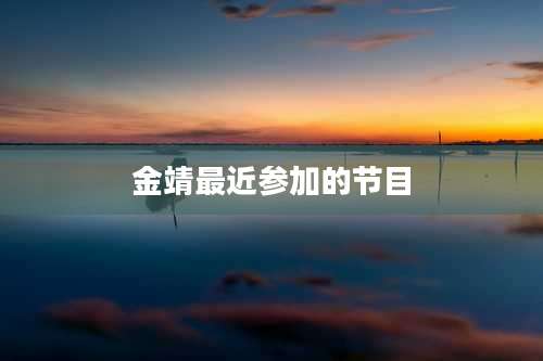 金靖最近参加的节目