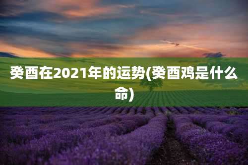 癸酉在2021年的运势(癸酉鸡是什么命)