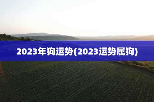 2023年狗运势(2023运势属狗)