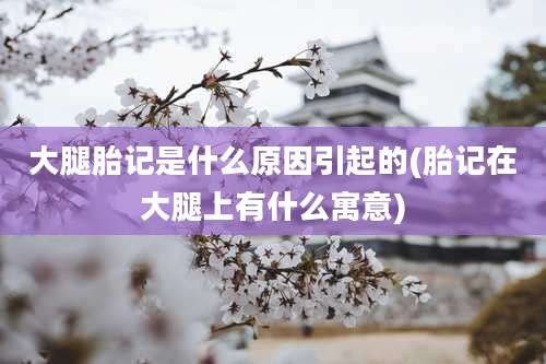 大腿胎记是什么原因引起的(胎记在大腿上有什么寓意)