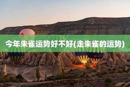 今年朱雀运势好不好(走朱雀的运势)