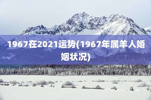 1967在2021运势(1967年属羊人婚姻状况)