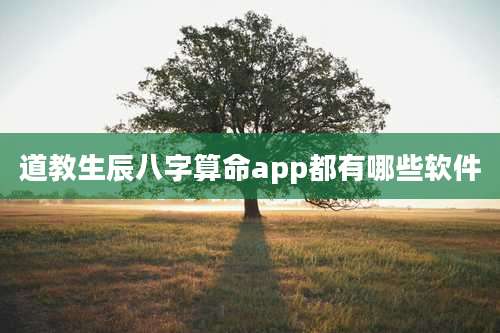 道教生辰八字算命app都有哪些软件