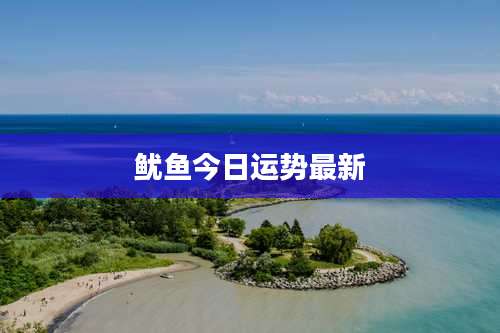 鱿鱼今日运势最新