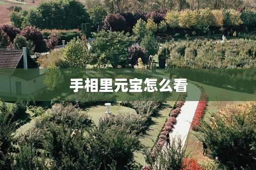 手相里元宝怎么看