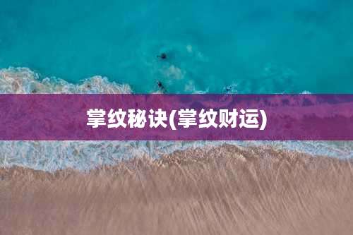 掌纹秘诀(掌纹财运)