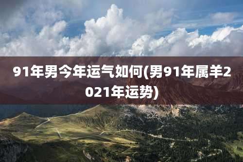 91年男今年运气如何(男91年属羊2021年运势)