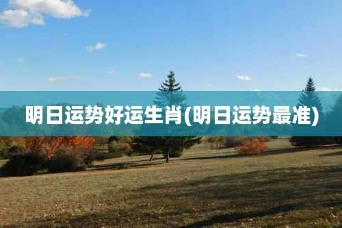 明日运势好运生肖(明日运势最准)