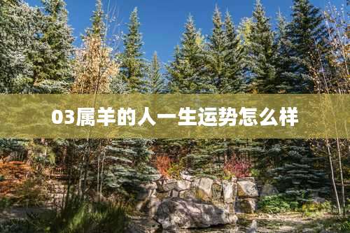 03属羊的人一生运势怎么样
