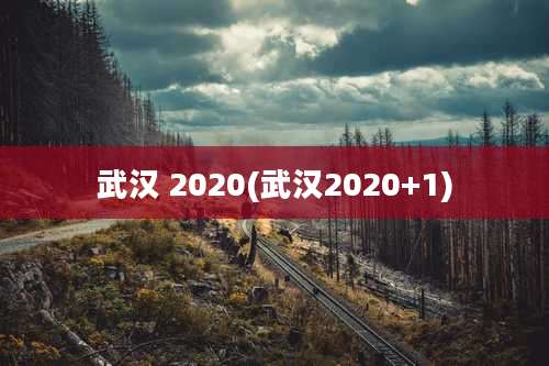 武汉 2020(武汉2020+1)