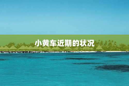 小黄车近期的状况