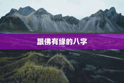 跟佛有缘的八字