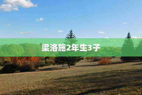 梁洛施2年生3子