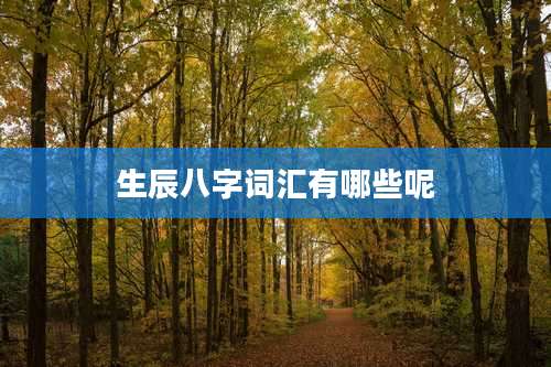 生辰八字词汇有哪些呢