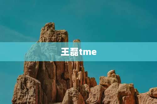 王磊tme