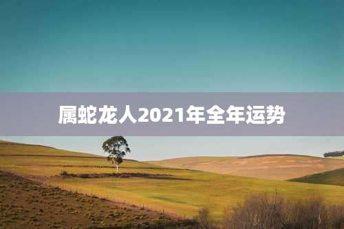 属蛇龙人2021年全年运势