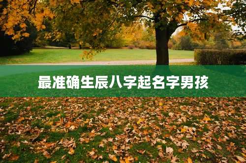 最准确生辰八字起名字男孩