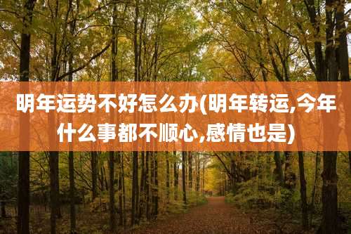 明年运势不好怎么办(明年转运,今年什么事都不顺心,感情也是)
