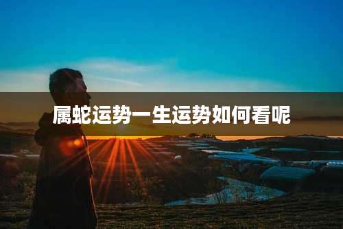 属蛇运势一生运势如何看呢