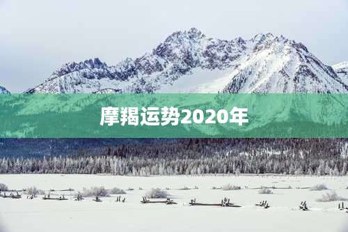 摩羯运势2020年