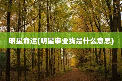 明星命运(明星事业线是什么意思)