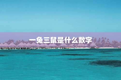 一兔三鼠是什么数字