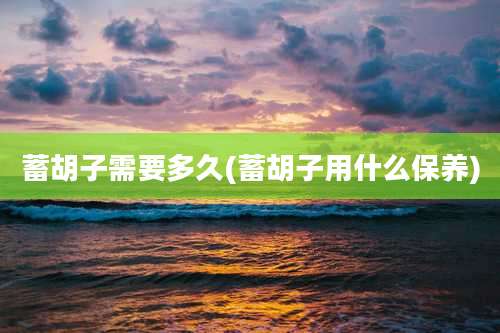 蓄胡子需要多久(蓄胡子用什么保养)
