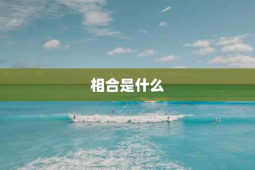 相合是什么