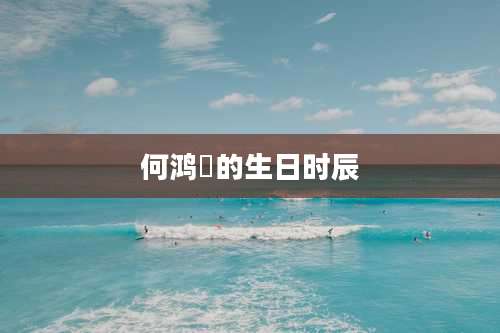 何鸿燊的生日时辰