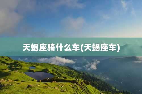 天蝎座骑什么车(天蝎座车)