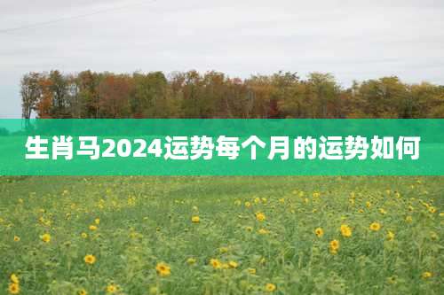 生肖马2024运势每个月的运势如何
