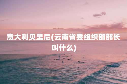 意大利贝里尼(云南省委组织部部长叫什么)