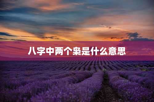 八字中两个枭是什么意思