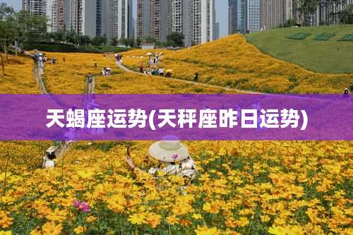 天蝎座运势(天秤座昨日运势)