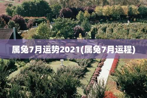 属兔7月运势2021(属兔7月运程)