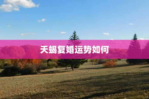 天蝎复婚运势如何