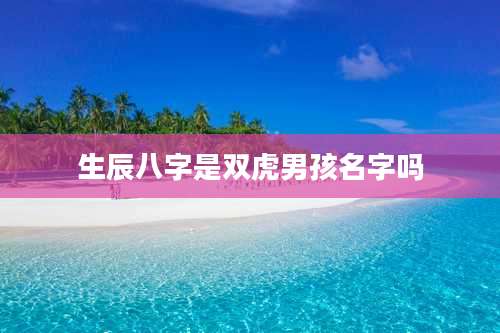 生辰八字是双虎男孩名字吗